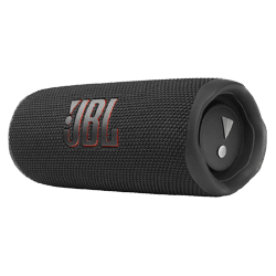 JBL Flip 6