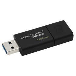 Kingston DataTraveler 100