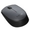 Logitech M170