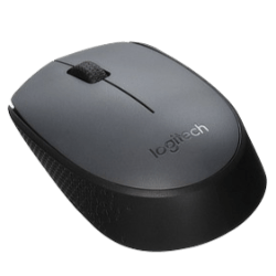 Logitech M170