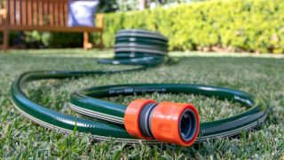 Melhores mangueiras para jardim
